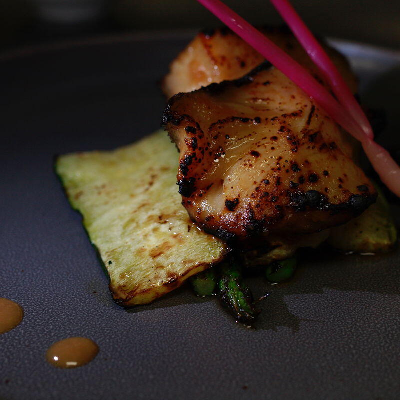 Miso Cod